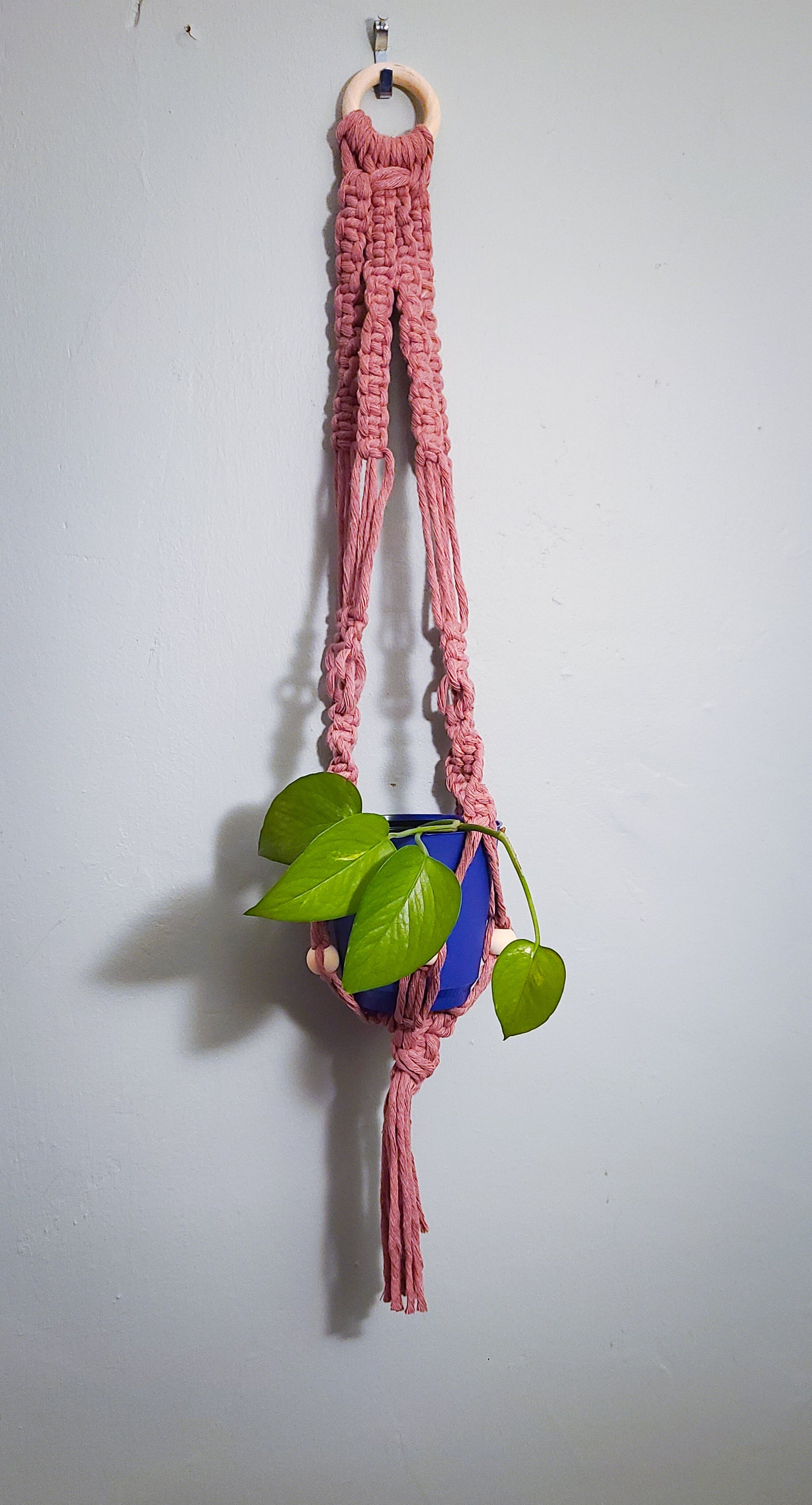 Eco- Home Macrame Plant Hanger