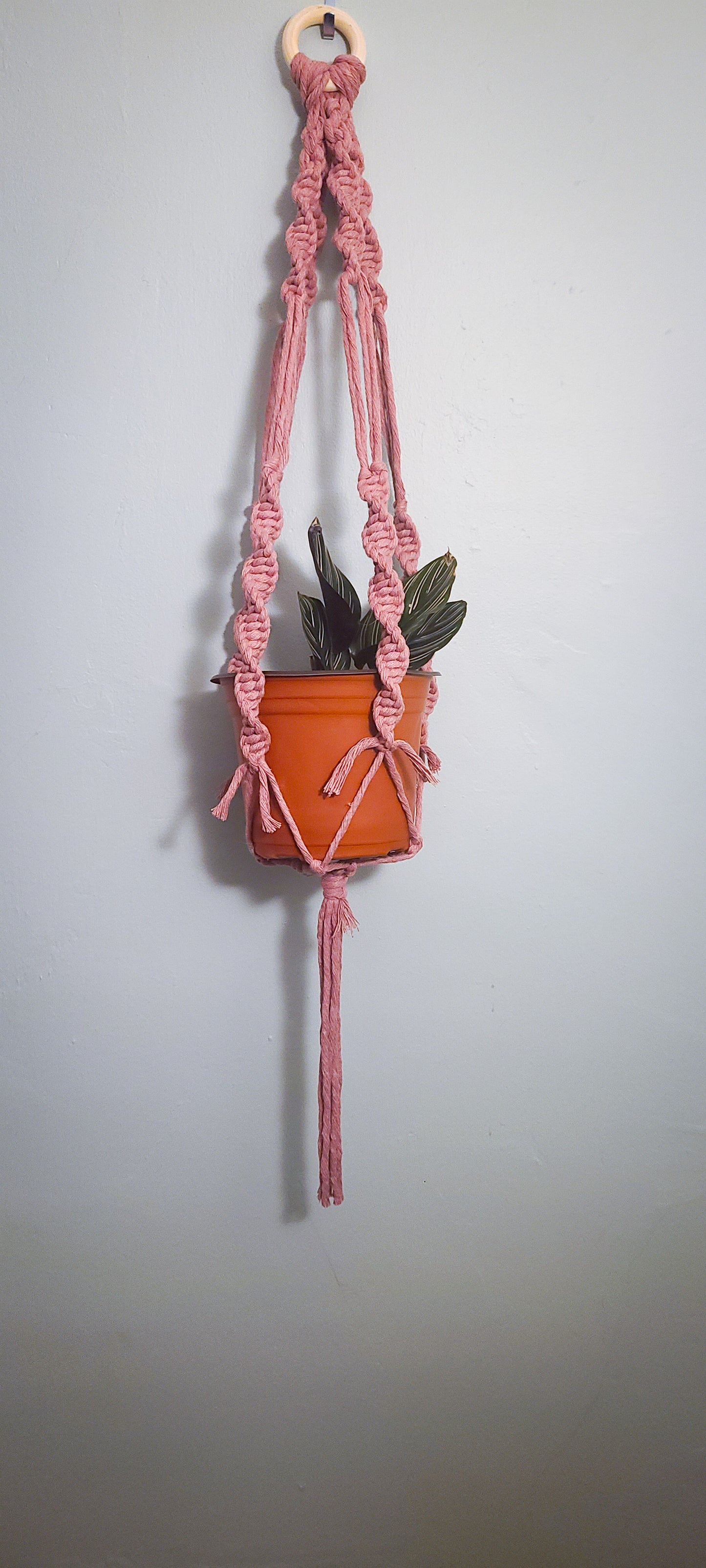 Eco- Home Macrame Plant Hanger