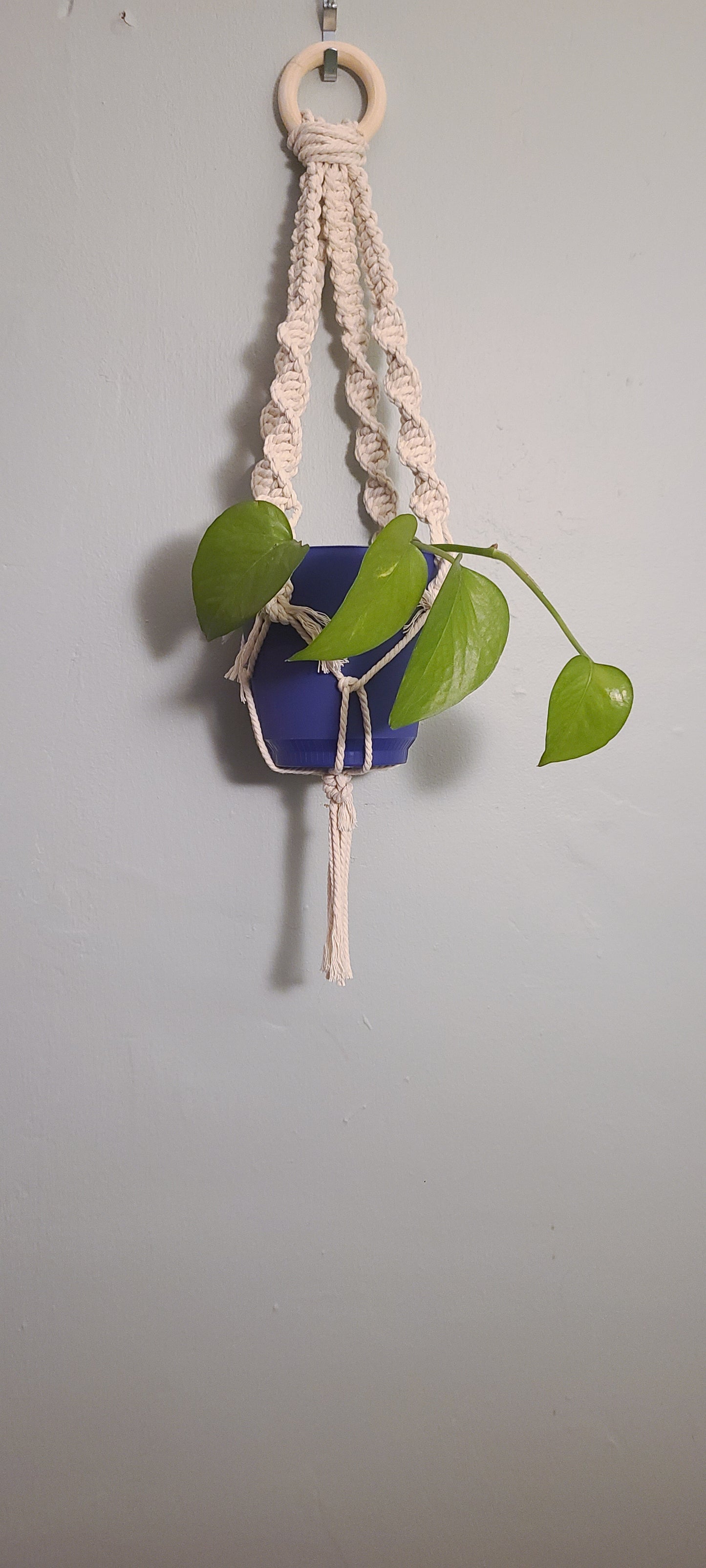 Eco- Home Macrame Plant Hanger